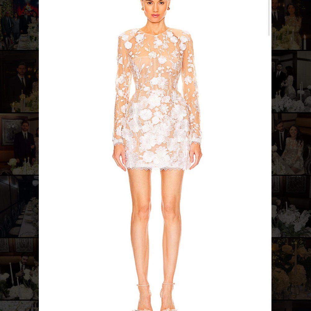 Elegant Floral Sheer Dress